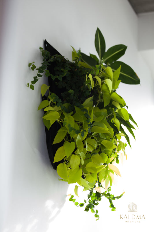 WallyGro Pflanztasche