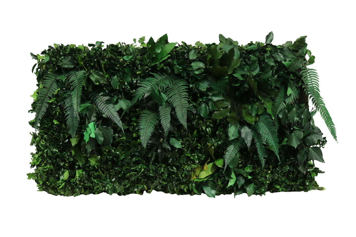 Jungle Paneele DIY I Deine grüne Wand aus echten konservierten Pflanzen ohne gießen und ohne Pflege