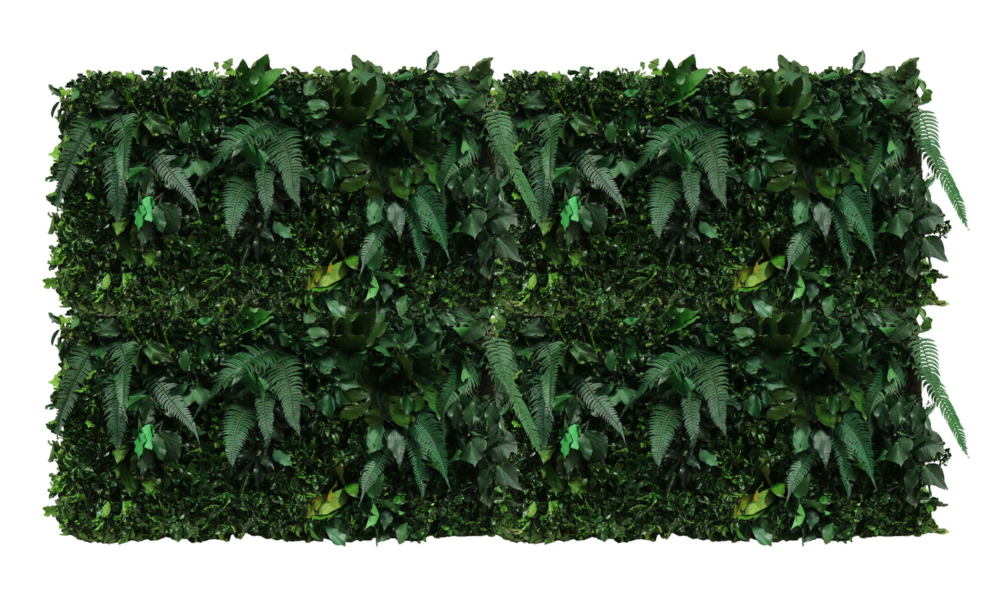 Jungle Paneele DIY I Deine grüne Wand aus echten konservierten Pflanzen ohne gießen und ohne Pflege