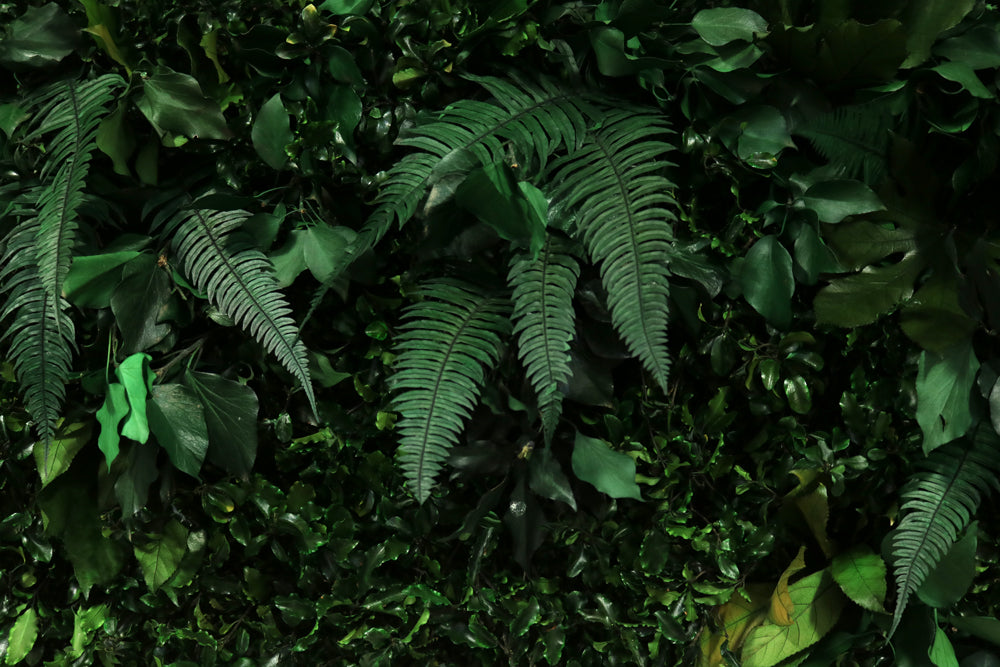 Jungle Paneele DIY I Deine grüne Wand aus echten konservierten Pflanzen ohne gießen und ohne Pflege