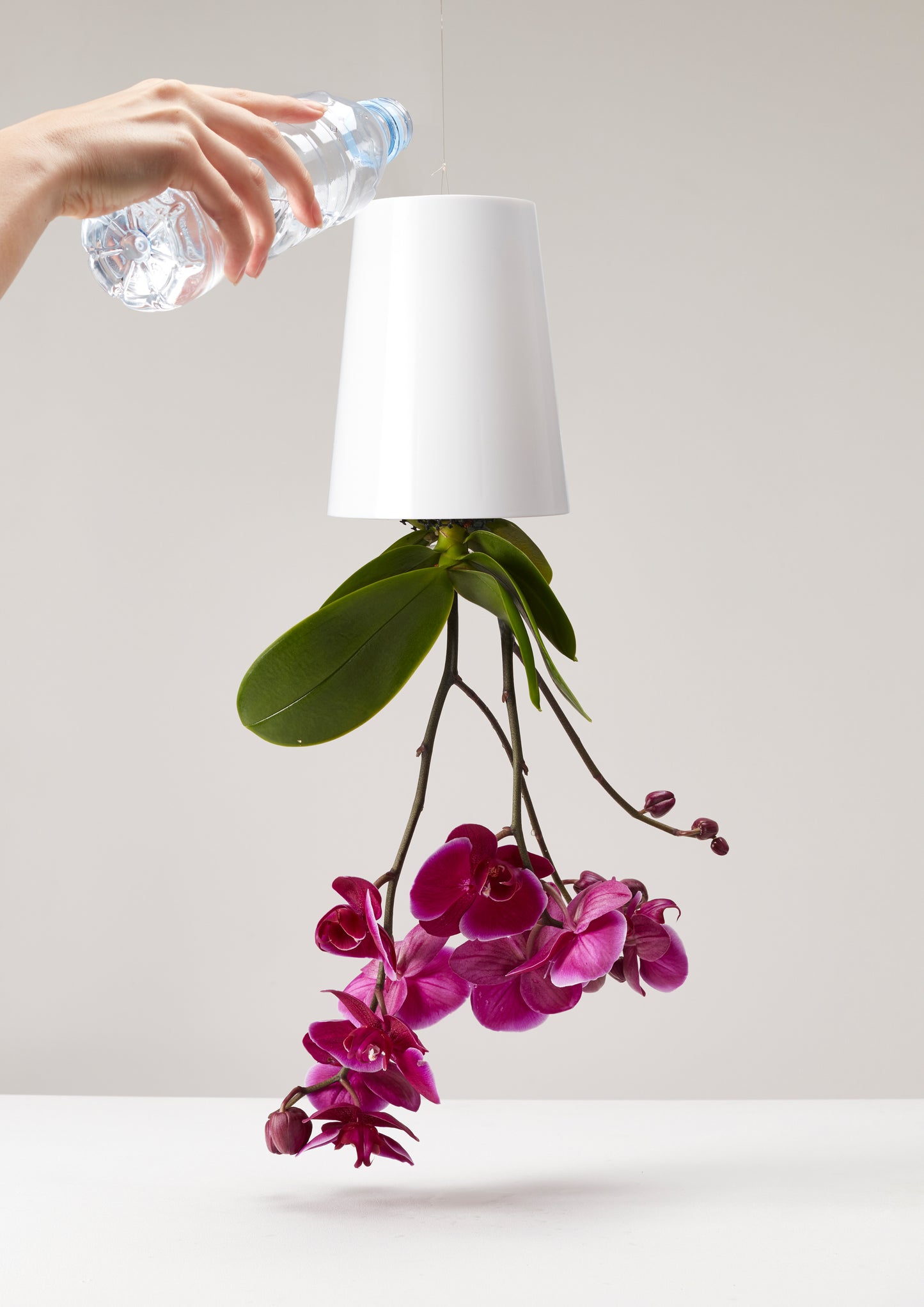 Sky Planter recycelt - selbstbewässernder Pflanztopf