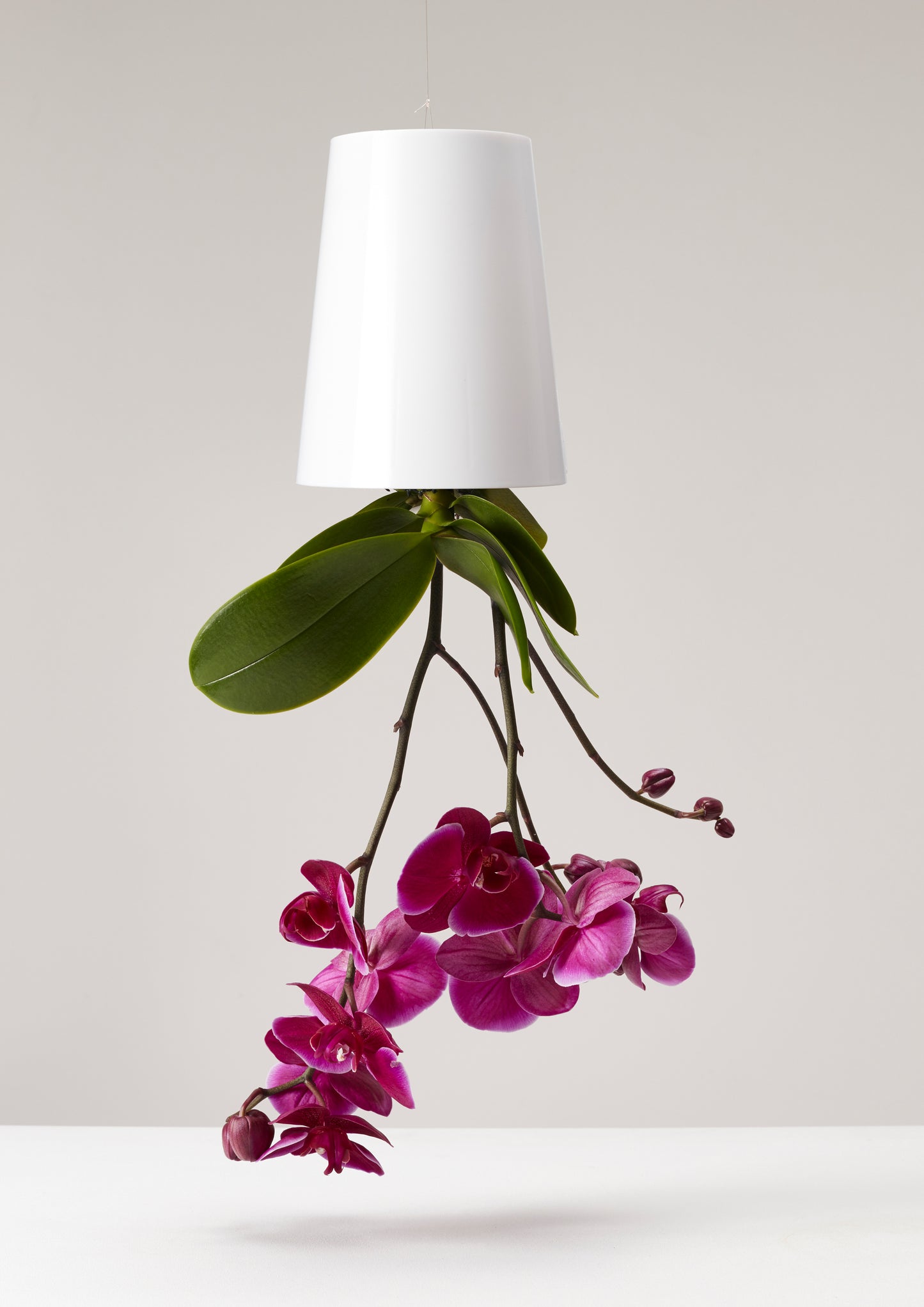 Sky Planter recycelt - selbstbewässernder Pflanztopf