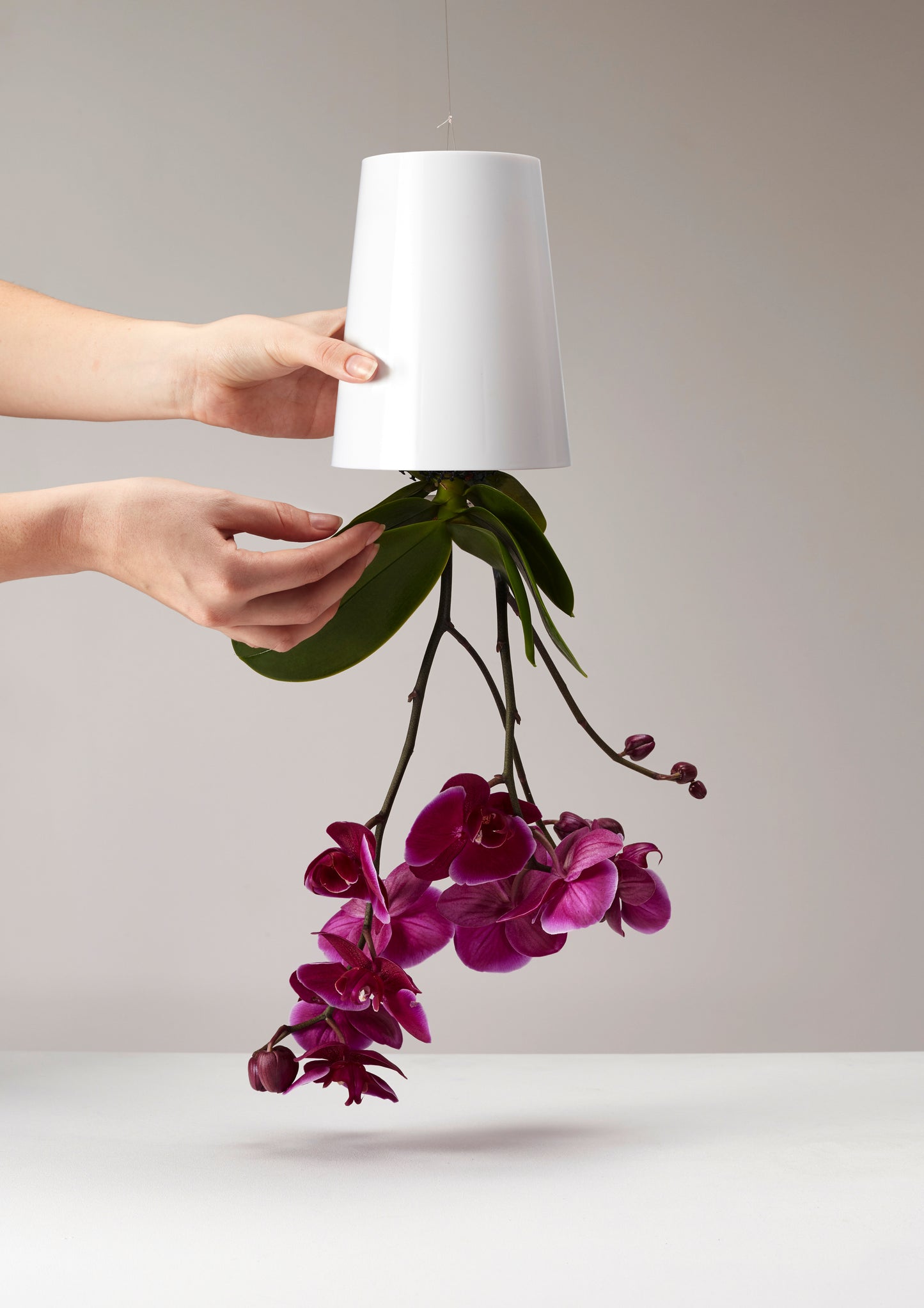 Sky Planter recycelt - selbstbewässernder Pflanztopf