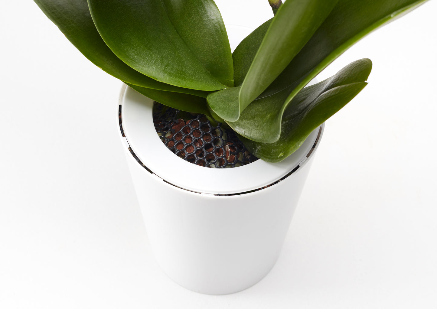 Sky Planter recycelt - selbstbewässernder Pflanztopf