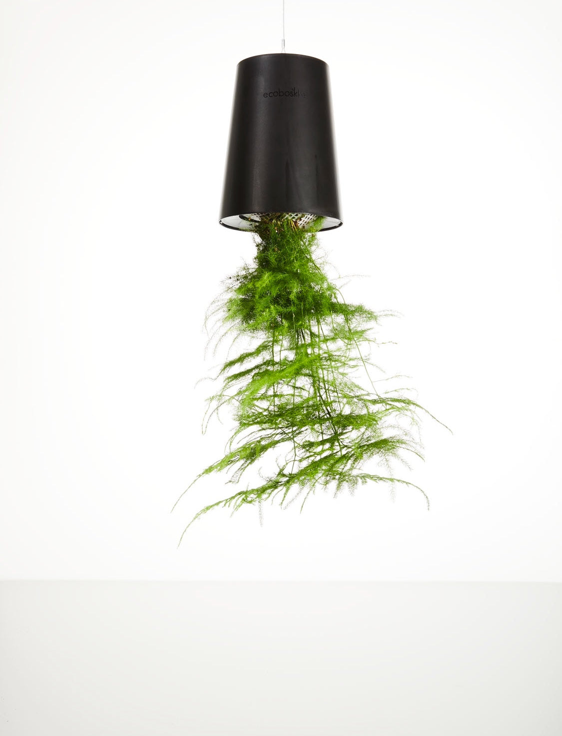 Sky Planter recycelt - selbstbewässernder Pflanztopf