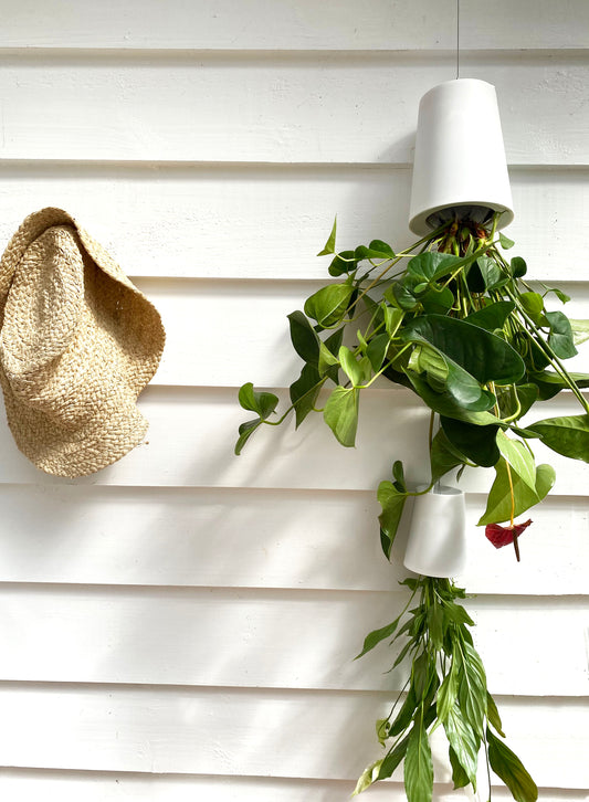Sky Planter recycelt - selbstbewässernder Pflanztopf