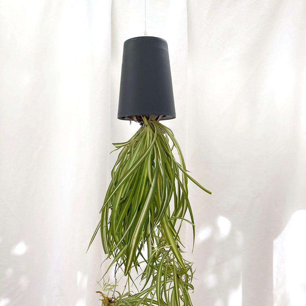 Sky Planter recycelt - selbstbewässernder Pflanztopf