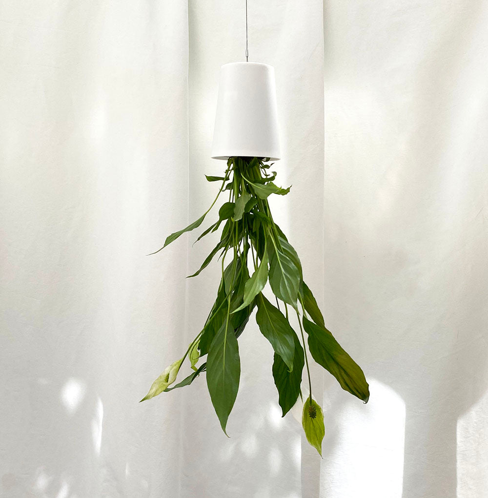 Sky Planter recycelt - selbstbewässernder Pflanztopf