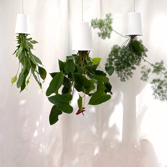 Sky Planter recycelt - selbstbewässernder Pflanztopf