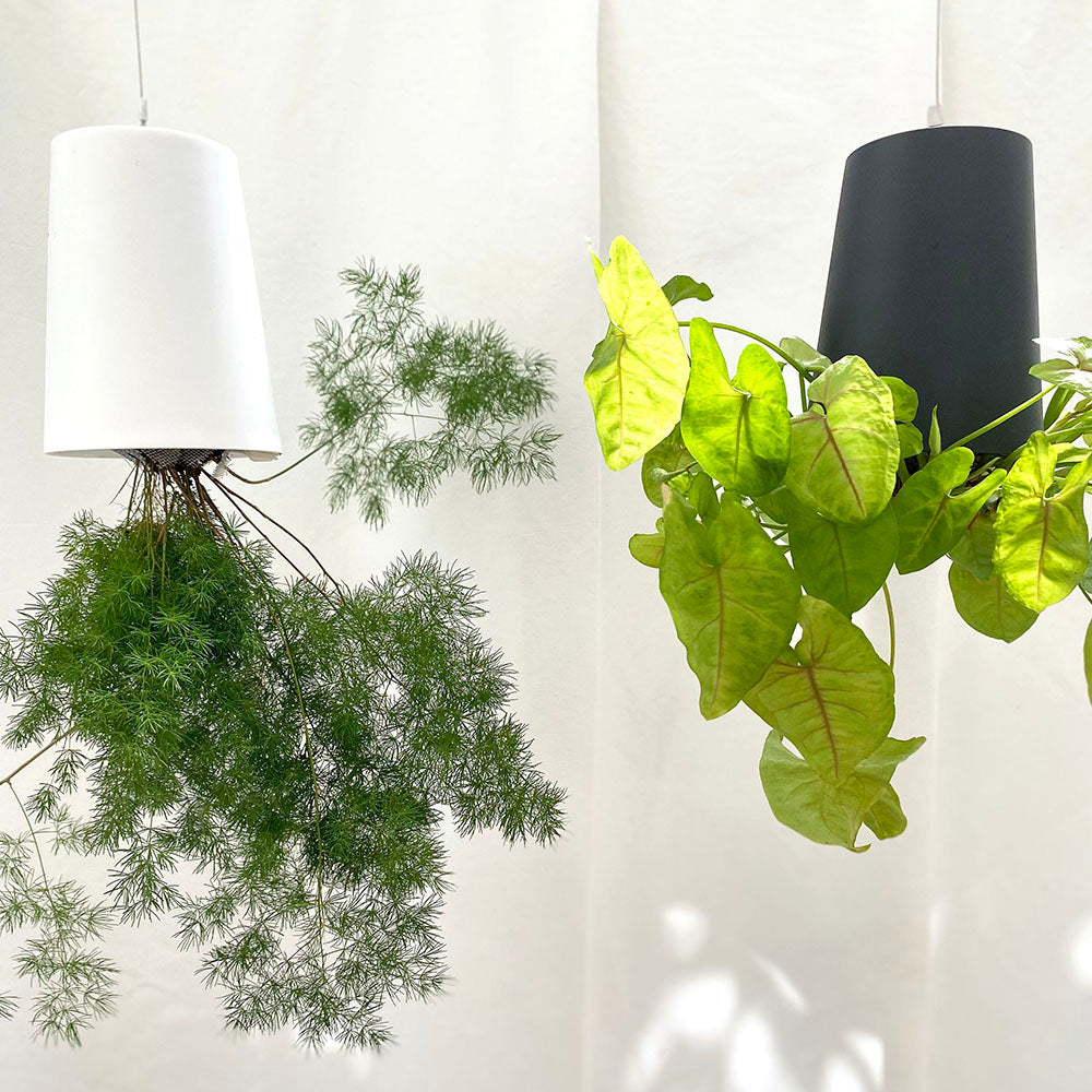Sky Planter recycelt - selbstbewässernder Pflanztopf