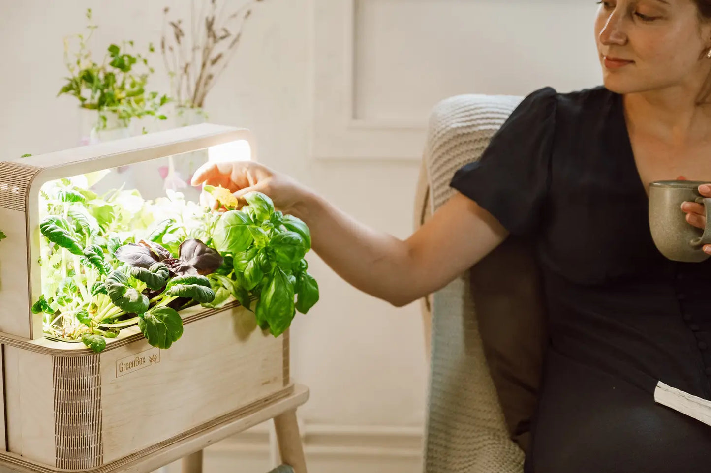 GreenBox Einstieg Deluxe Bundle