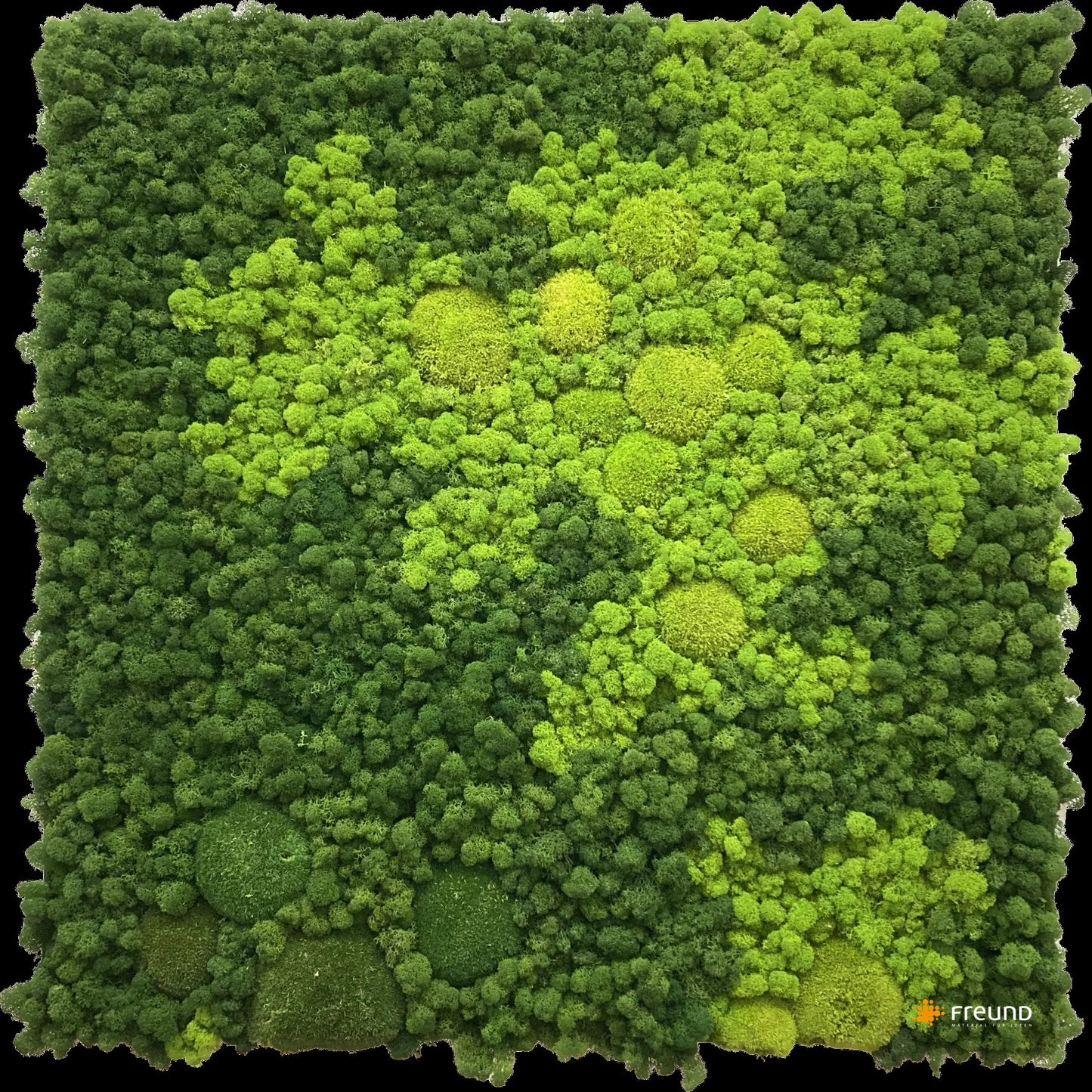 Evergreen nebula I ECKIG