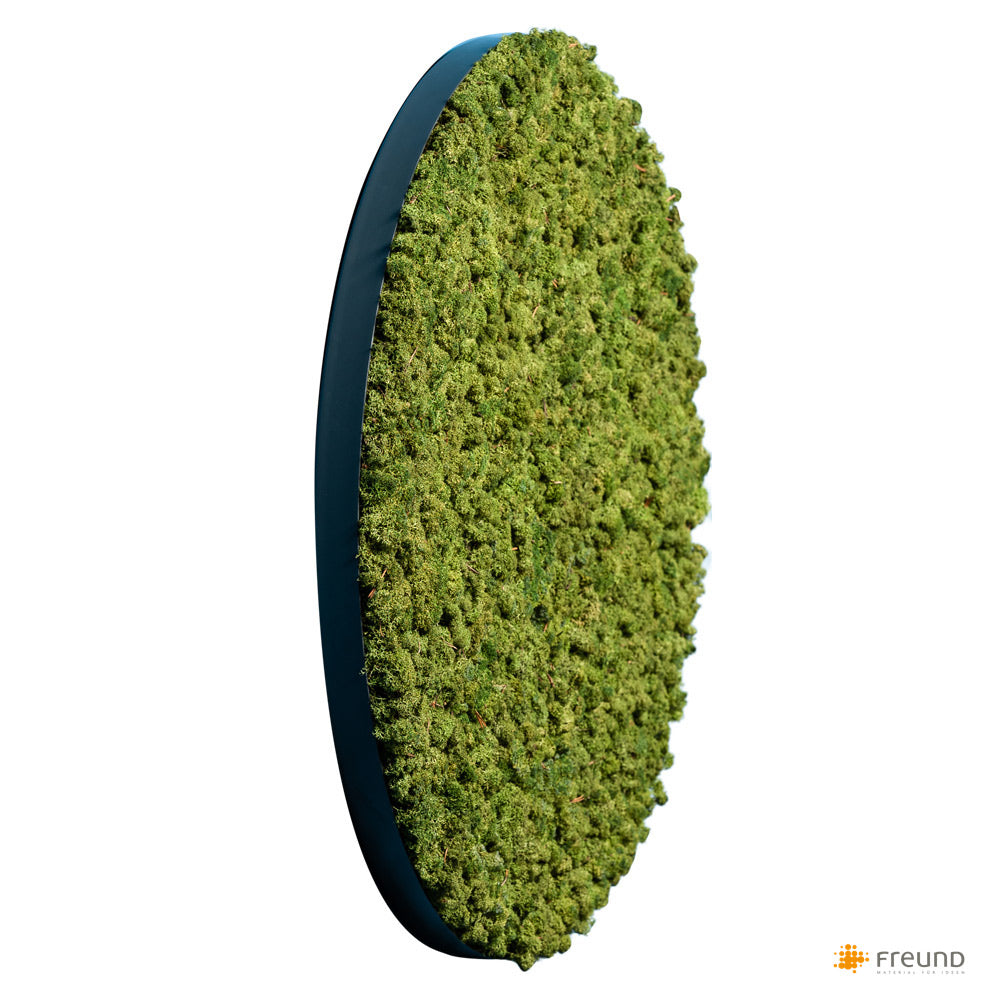 Islandmoos apfelgrün I RUND