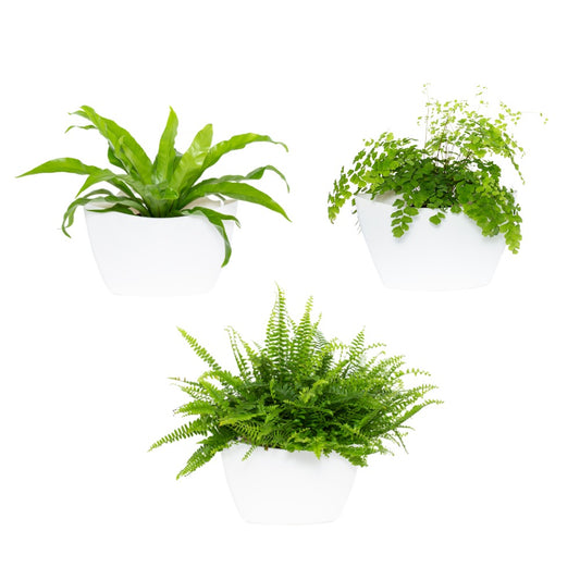 Vertical Pflanzgefäß — Packung mit 3 Pflanzgefäßen