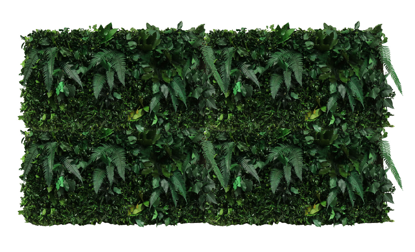 Jungle Paneele DIY I Deine grüne Wand aus echten konservierten Pflanzen  ohne gießen und ohne Pflege